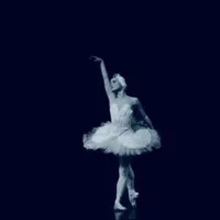 Katarina Wester on her choreography Le Stagioni