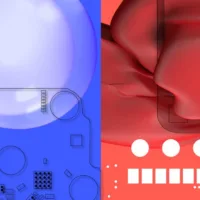 Rewire Festival 2021 features many KonCon Artists