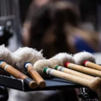 The Rite of Spring with the Residentie Orkest