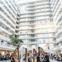 What a day! - All The Hague's Our Stage