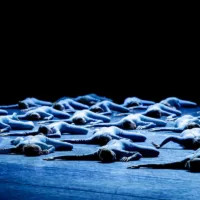 Eindvoorstellingen Koninklijk Conservatorium Dans